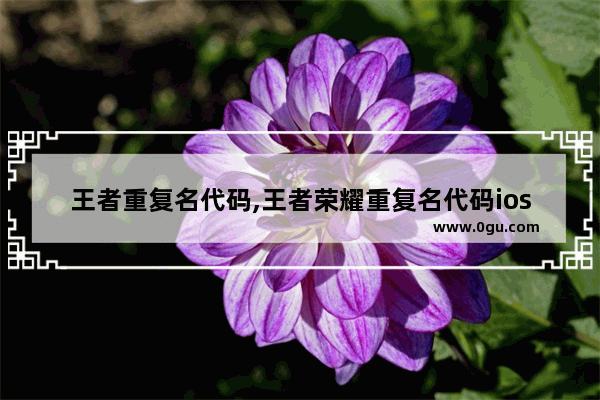 王者重复名代码,王者荣耀重复名代码ios