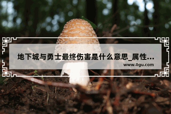 地下城与勇士最终伤害是什么意思_属性附加伤害怎么计算 沃特碧们的Colg DNF地下城与勇士