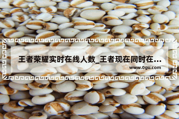 王者荣耀实时在线人数_王者现在同时在线有多少人了
