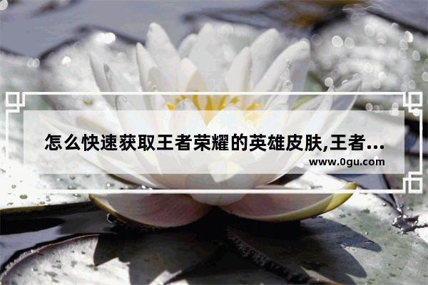 怎么快速获取王者荣耀的英雄皮肤,王者荣耀如何快速获得英雄