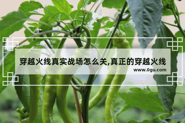 穿越火线真实战场怎么关,真正的穿越火线