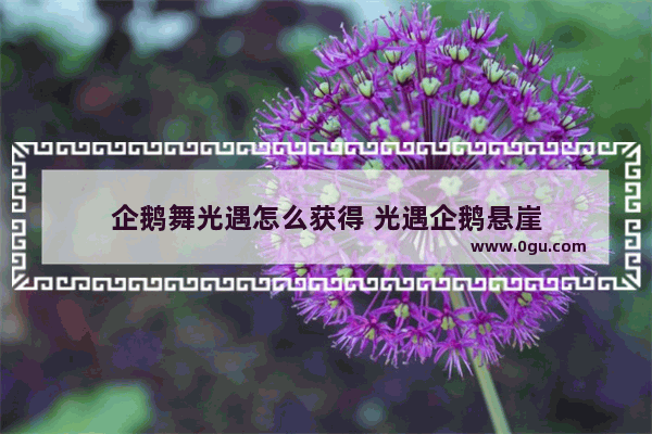 企鹅舞光遇怎么获得 光遇企鹅悬崖