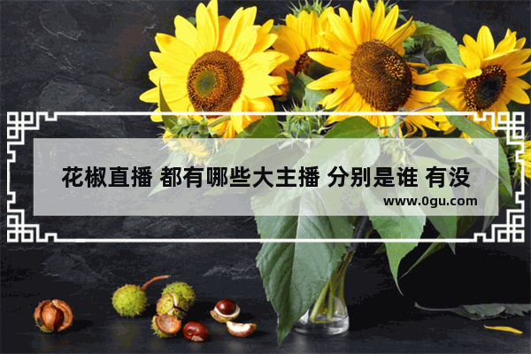 花椒直播 都有哪些大主播 分别是谁 有没有明星在花椒直播里 都有谁 王者荣耀明星直播
