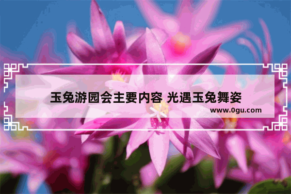 玉兔游园会主要内容 光遇玉兔舞姿