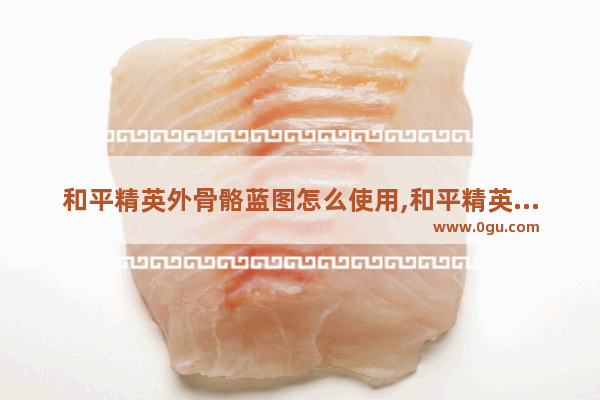 和平精英外骨骼蓝图怎么使用,和平精英外骨骼装甲玩法
