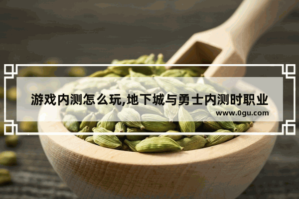 游戏内测怎么玩,地下城与勇士内测时职业
