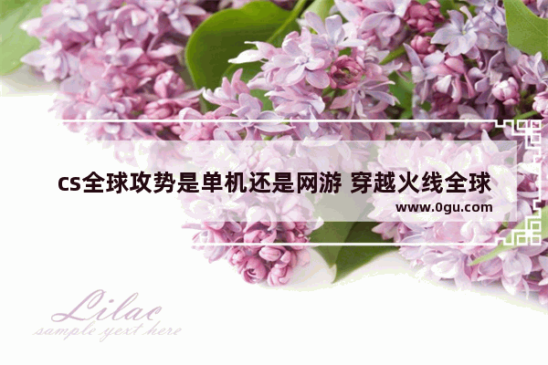 cs全球攻势是单机还是网游 穿越火线全球攻势