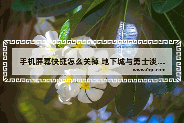 手机屏幕快捷怎么关掉 地下城与勇士淡化快捷栏