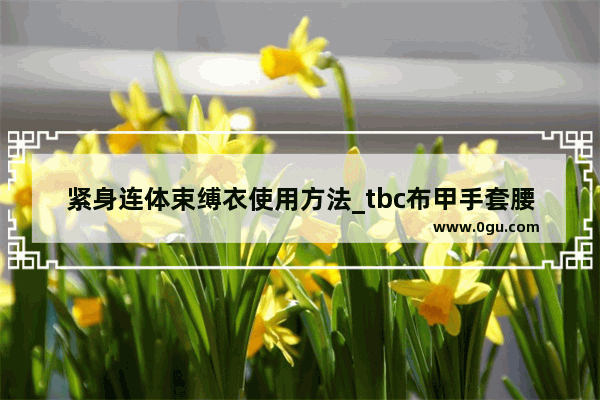 紧身连体束缚衣使用方法_tbc布甲手套腰带出处