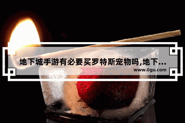 地下城手游有必要买罗特斯宠物吗,地下城与勇士罗特斯