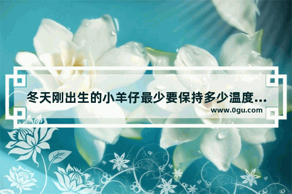 冬天刚出生的小羊仔最少要保持多少温度才不会被冻死啊,小羊gj 光遇