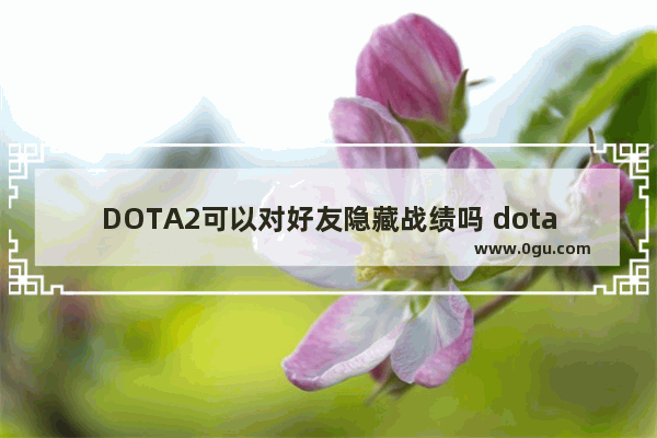 DOTA2可以对好友隐藏战绩吗 dota2 隐藏资料