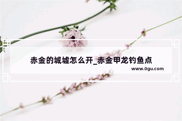 赤金的城墟怎么开_赤金甲龙钓鱼点