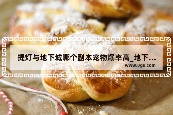 提灯与地下城哪个副本宠物爆率高_地下城手游深渊哪个图爆率高