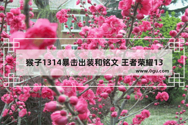 猴子1314暴击出装和铭文 王者荣耀1314