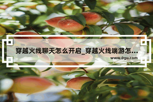 穿越火线聊天怎么开启_穿越火线端游怎么和好友聊天