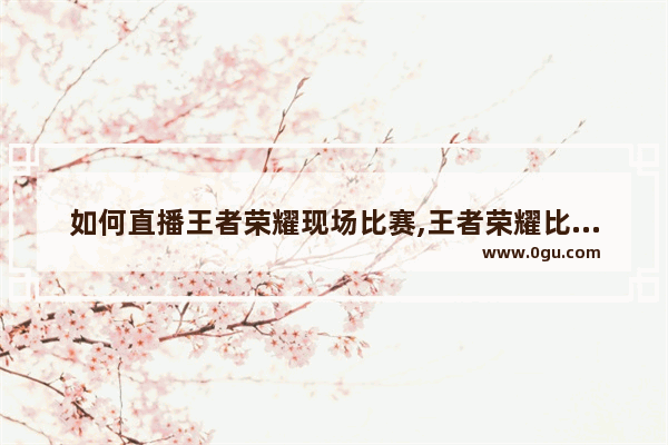 如何直播王者荣耀现场比赛,王者荣耀比赛现场