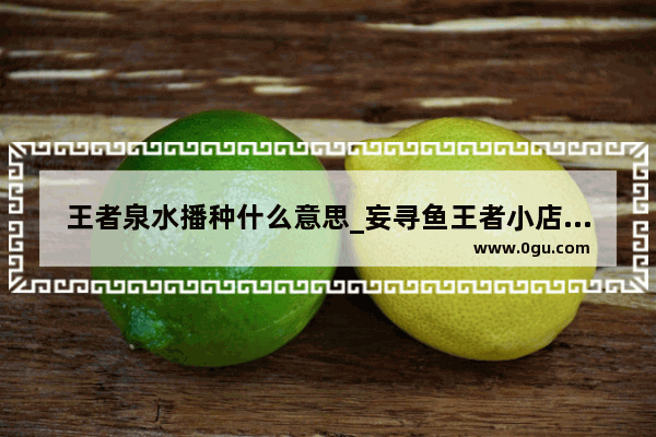王者泉水播种什么意思_妄寻鱼王者小店祝福语是随机的吗
