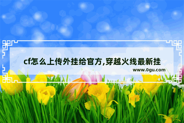 cf怎么上传外挂给官方,穿越火线最新挂