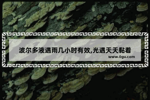 波尔多液遇雨几小时有效,光遇天天黏着
