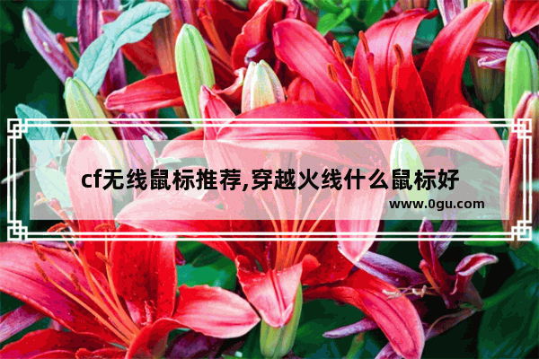 cf无线鼠标推荐,穿越火线什么鼠标好