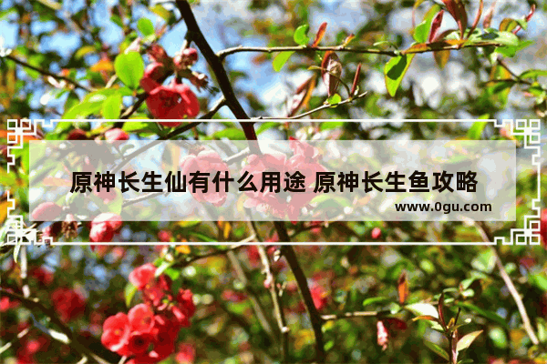 原神长生仙有什么用途 原神长生鱼攻略