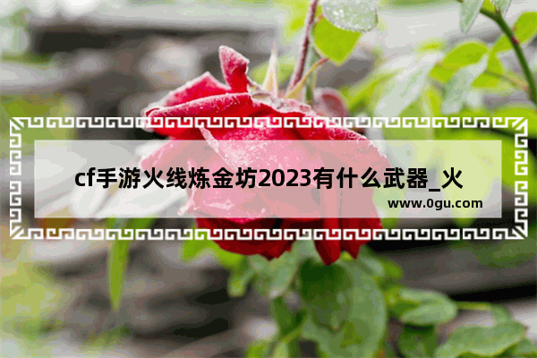 cf手游火线炼金坊2023有什么武器_火线炼金房有什么武器