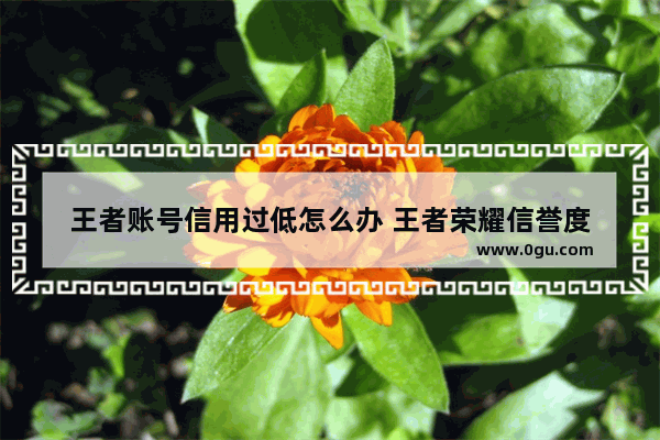 王者账号信用过低怎么办 王者荣耀信誉度