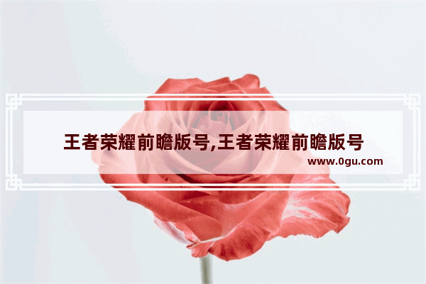 王者荣耀前瞻版号,王者荣耀前瞻版号