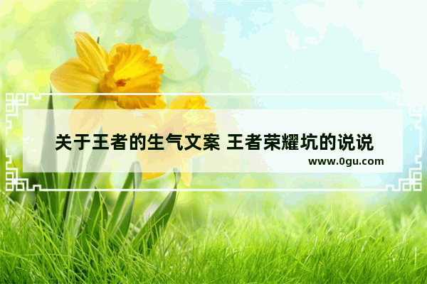 关于王者的生气文案 王者荣耀坑的说说