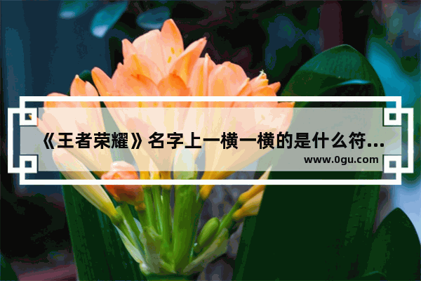 《王者荣耀》名字上一横一横的是什么符号_王者荣耀 名字中间一横怎么打出来的