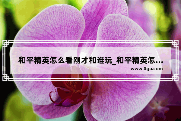 和平精英怎么看刚才和谁玩_和平精英怎么查和好友第一次玩的记录