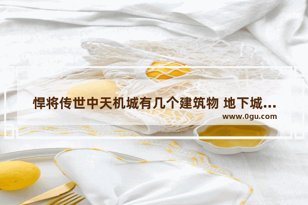 悍将传世中天机城有几个建筑物 地下城与勇士传世之书建筑
