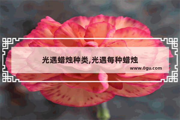 光遇蜡烛种类,光遇每种蜡烛