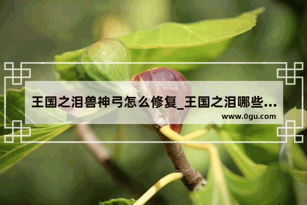 王国之泪兽神弓怎么修复_王国之泪哪些武器可以修复
