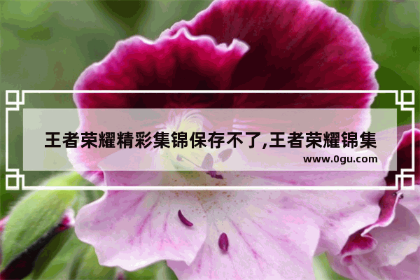 王者荣耀精彩集锦保存不了,王者荣耀锦集