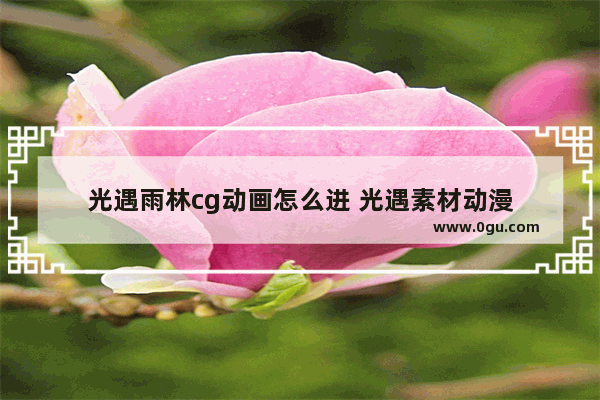 光遇雨林cg动画怎么进 光遇素材动漫