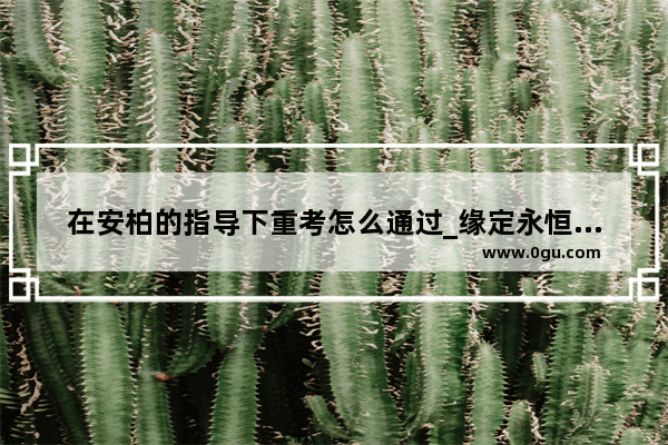 在安柏的指导下重考怎么通过_缘定永恒礼包弓箭手算次数吗
