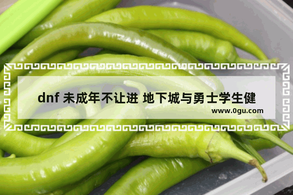 dnf 未成年不让进 地下城与勇士学生健康系统