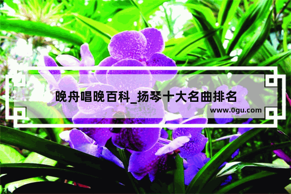 晚舟唱晚百科_扬琴十大名曲排名