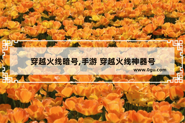 穿越火线暗号,手游 穿越火线神器号