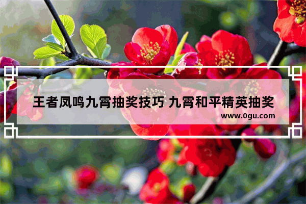 王者凤鸣九霄抽奖技巧 九霄和平精英抽奖