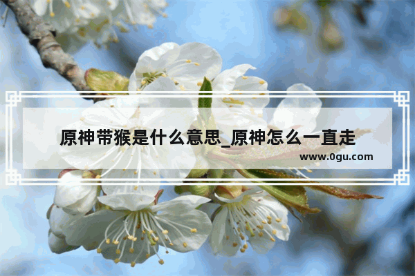 原神带猴是什么意思_原神怎么一直走