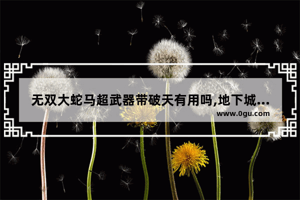 无双大蛇马超武器带破天有用吗,地下城与勇士巨蛇武器