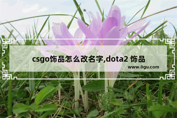 csgo饰品怎么改名字,dota2 饰品改名