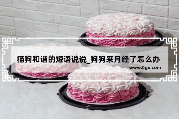 猫狗和谐的短语说说_狗狗来月经了怎么办 生理期的护理及注意事项