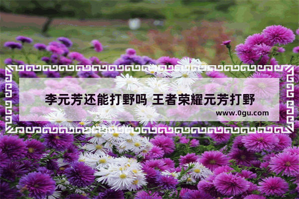 李元芳还能打野吗 王者荣耀元芳打野