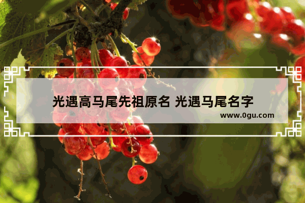 光遇高马尾先祖原名 光遇马尾名字