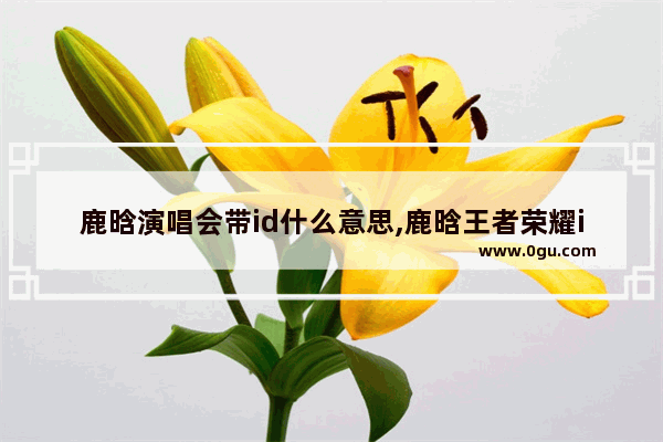 鹿晗演唱会带id什么意思,鹿晗王者荣耀id