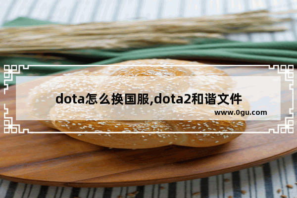 dota怎么换国服,dota2和谐文件
